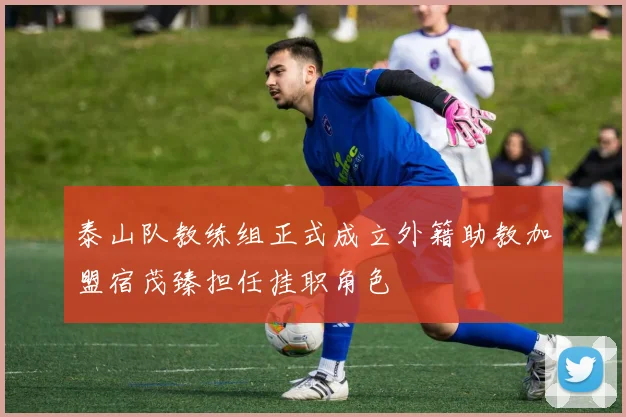 泰山队教练组正式成立外籍助教加盟宿茂臻担任挂职角色