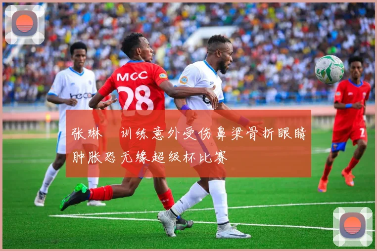 张琳芃训练意外受伤鼻梁骨折眼睛肿胀恐无缘超级杯比赛